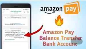 Transfer Amazon Pay Balance