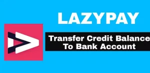 Transfer Lazypay Balance To Bank Account